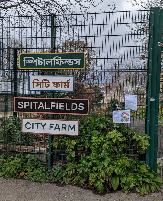 Field visit and stakeholder interviews at Spitalfields City Farm