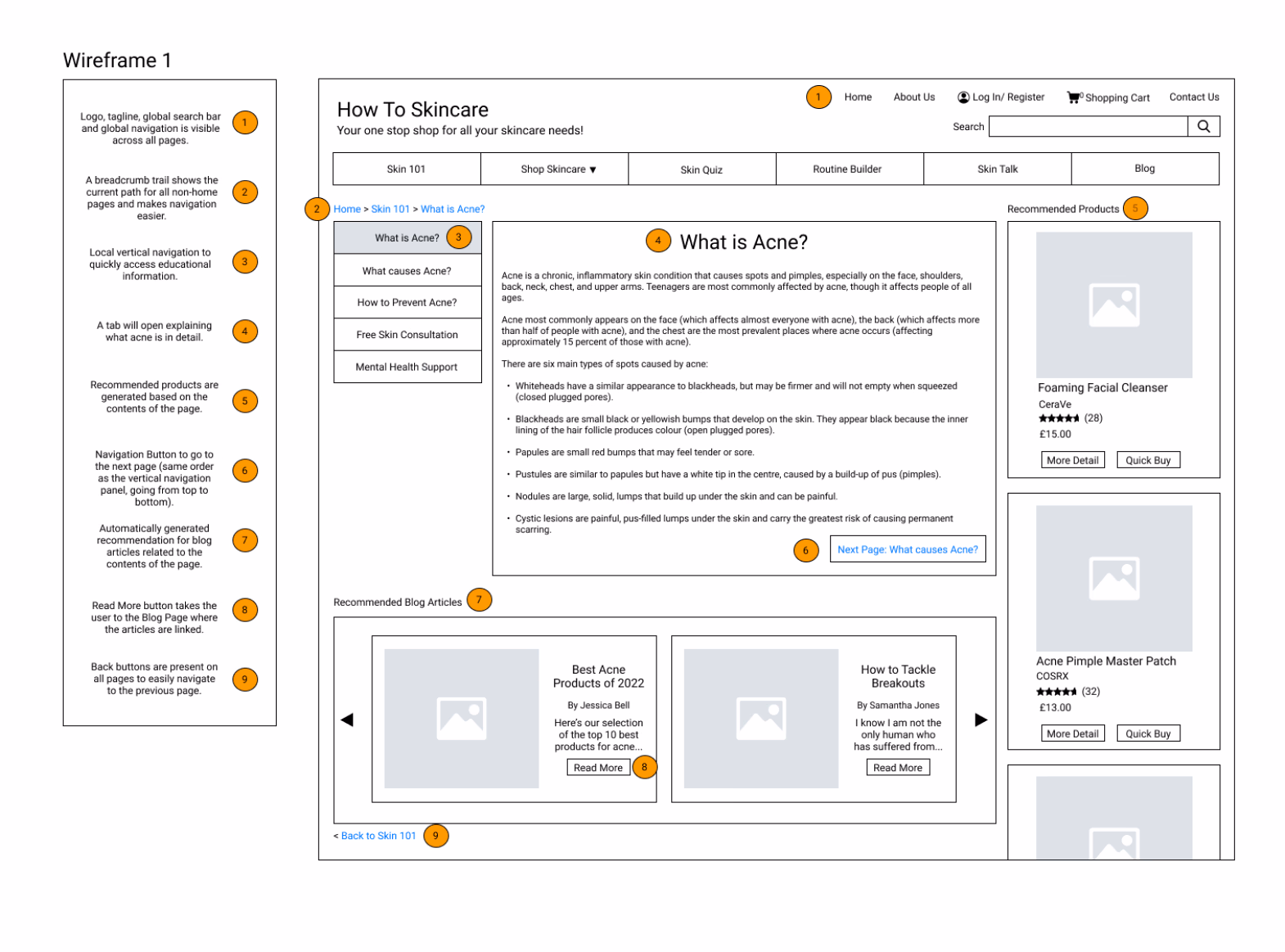Wireframe 1: Skin 101 educational page